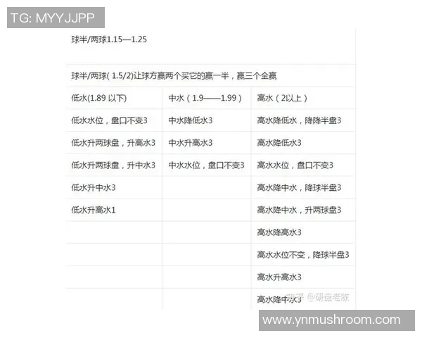 足球水位解析与投注策略探讨提升您的竞猜水平与盈利能力