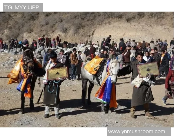 李娜与沃兹尼亚奇的巅峰对决：网球场上的激情与荣耀之战